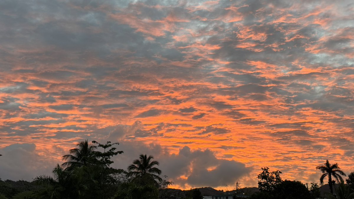 Leidy Díaz tweet media