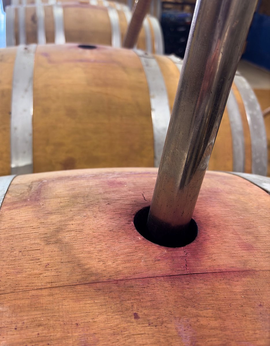 Cillar de Silos tweet media