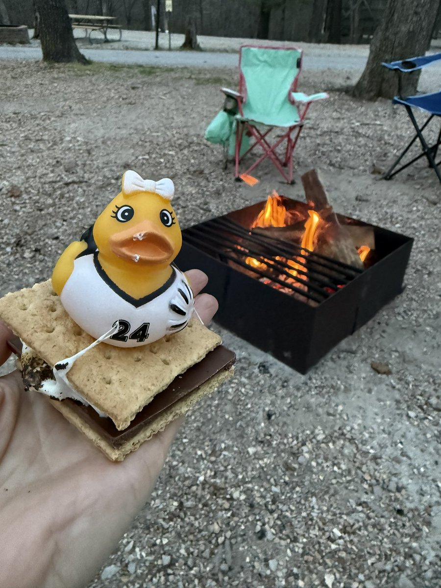 Dr. Todd, Executive Director of Early Learning tweet media