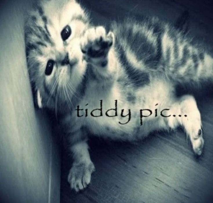 drunk_0cean's tweet image. #vulnerable