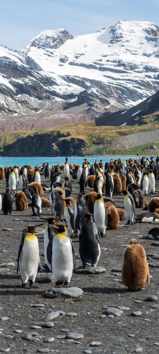 César Hernando Castellanos Orozco tweet media