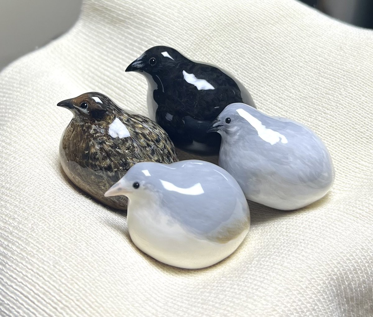 고방오리 オナガガモ 𓅰 tweet media