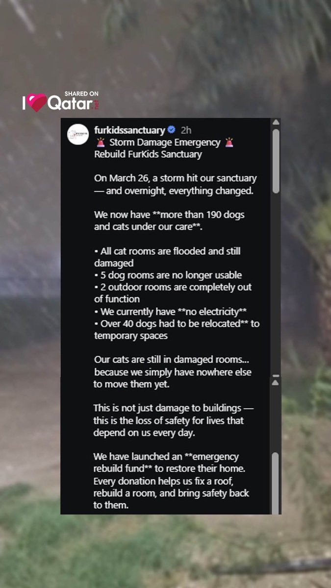 ILoveQatar - Live tweet media