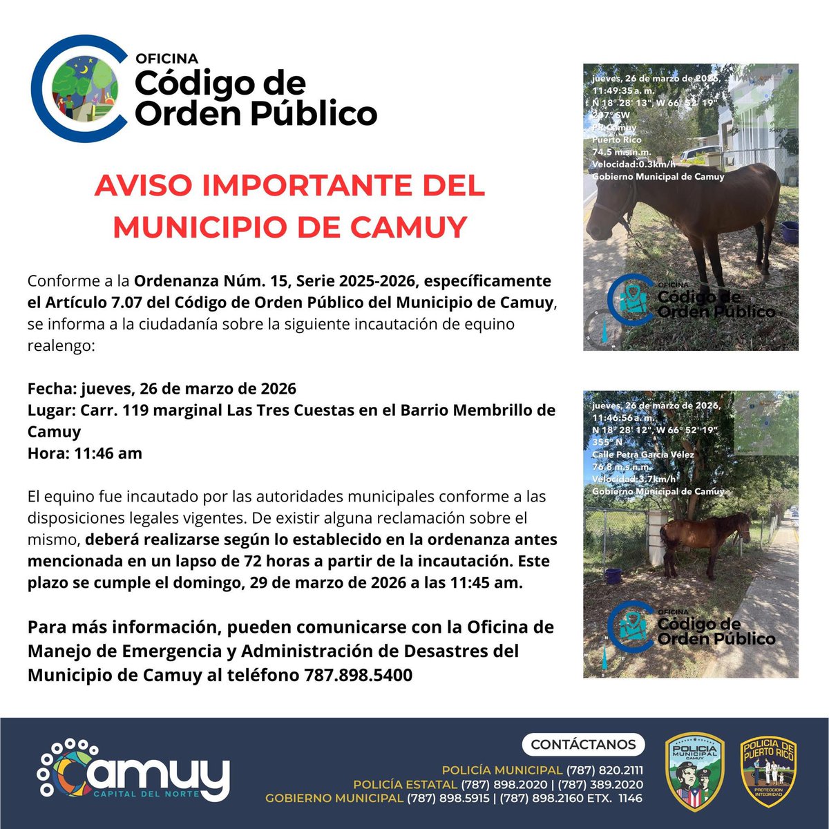 Remi Martin tweet media