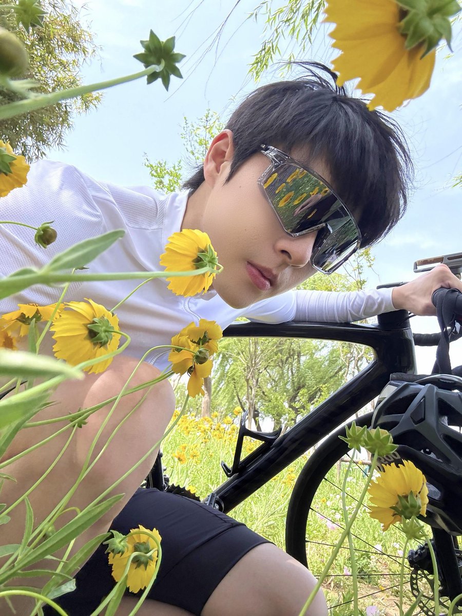 热带鱼（原主已退推） tweet media