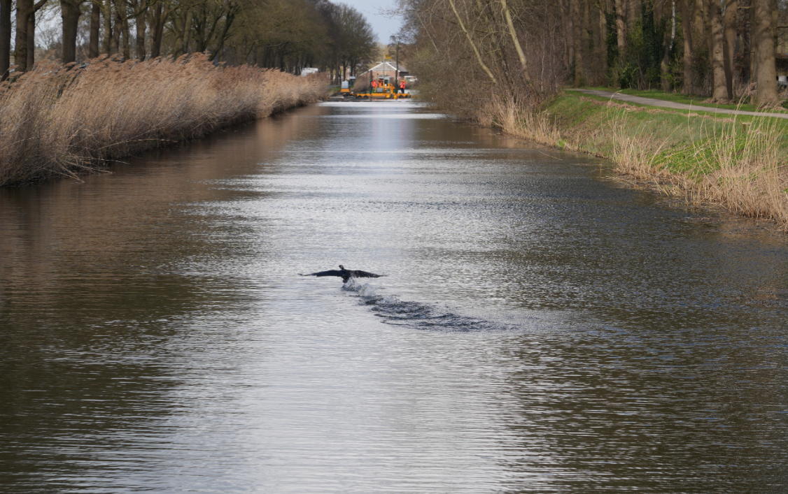 Waterschap Drents Overijsselse Delta tweet media