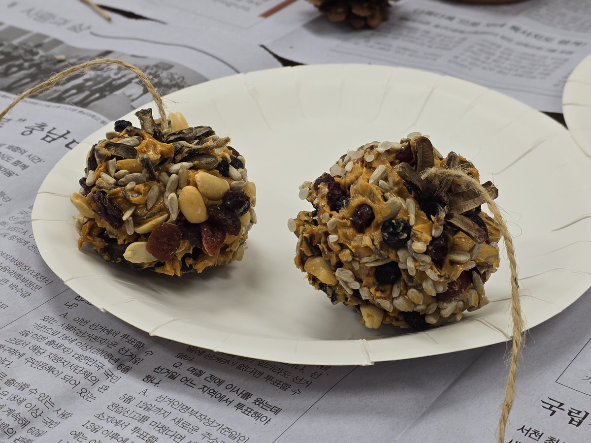 국립세종수목원 처돌이🕯 tweet media