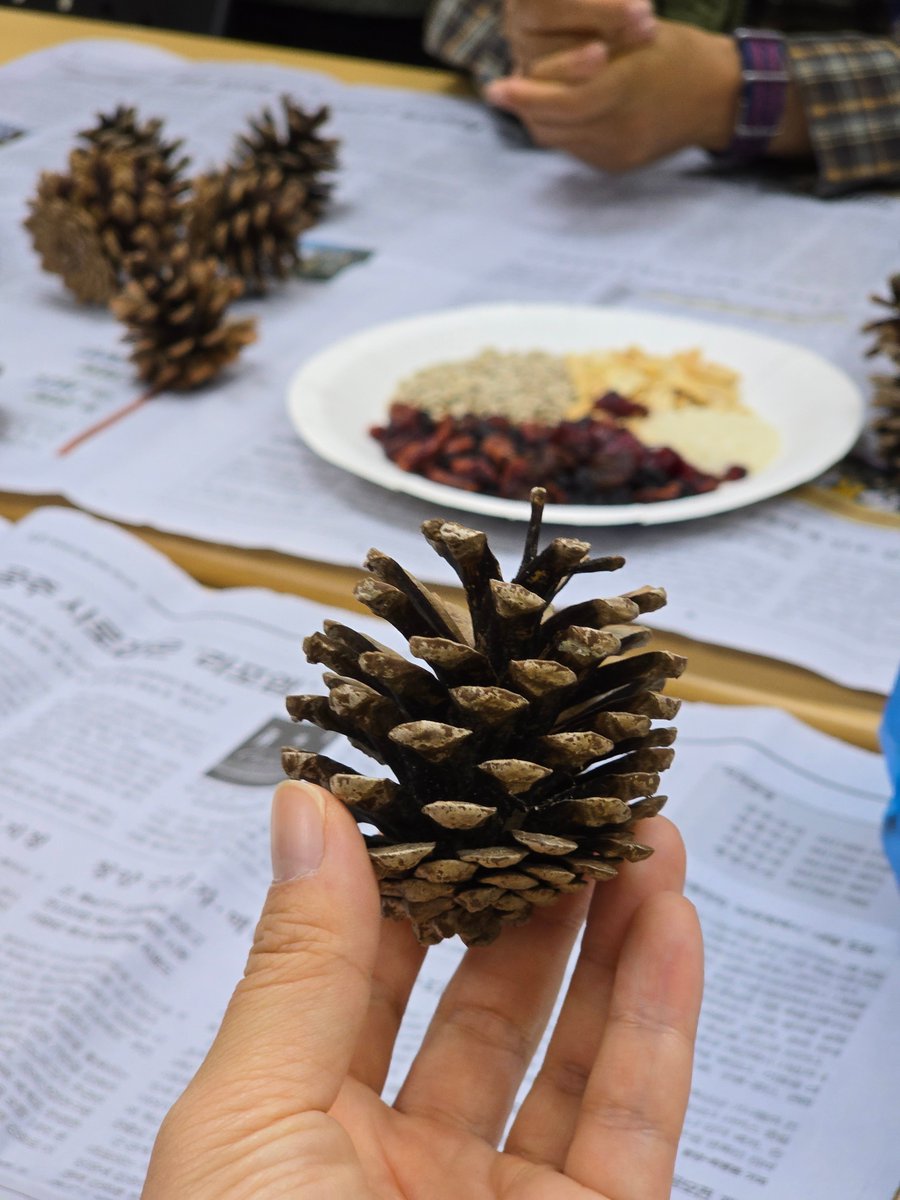 국립세종수목원 처돌이🕯 tweet media
