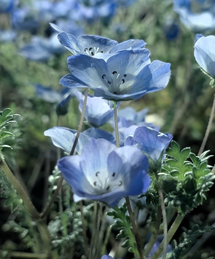 ✞✞mayumi✞✞ tweet media