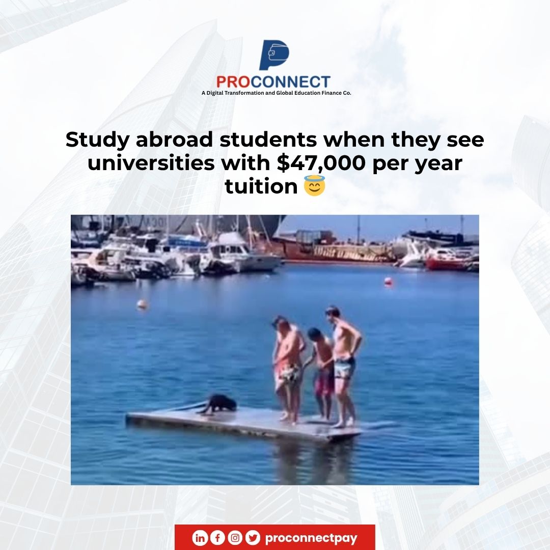 Proconnect - An Education and Global Mobility Co. tweet media