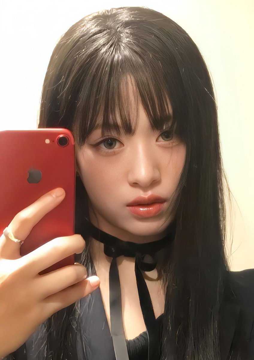 🦥🦌🐰🦋🐬🐼🐈⬛ tweet media