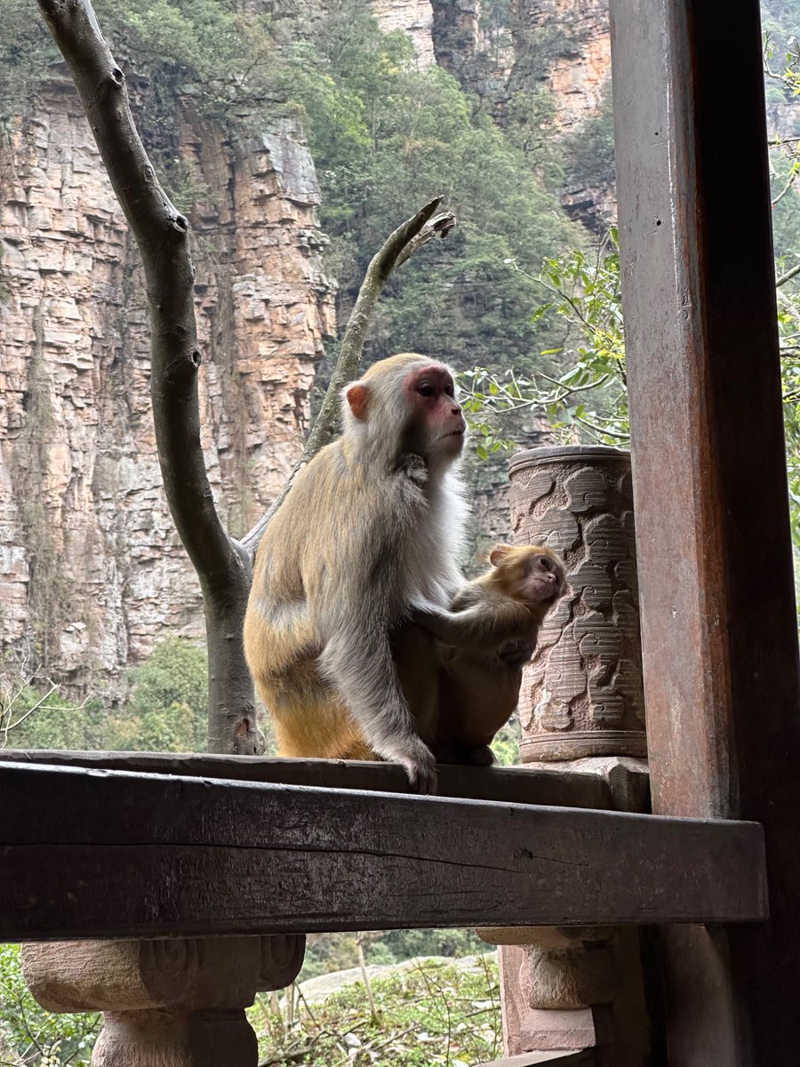 rui skrunkle🟥 tweet media