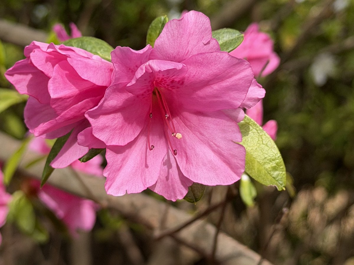 Jo Hackl tweet media