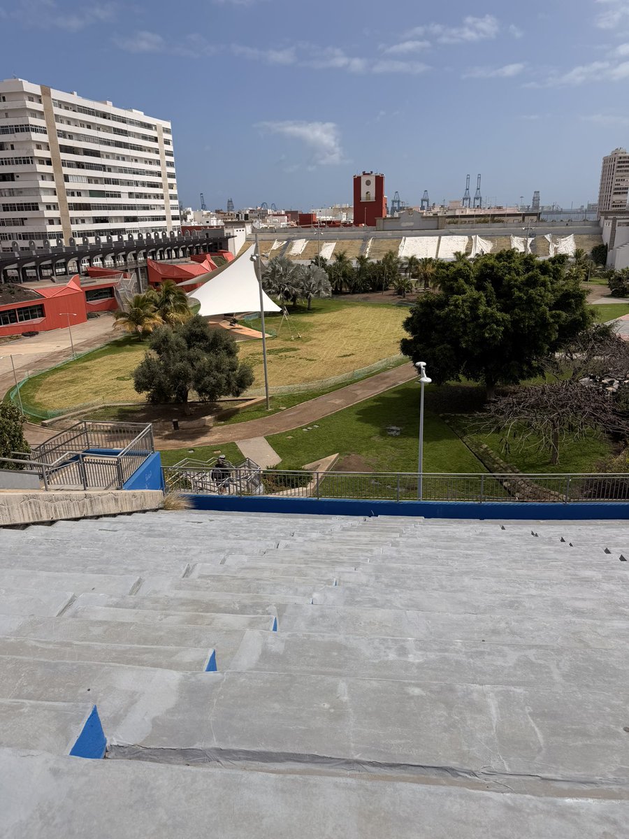 Javier Suárez “Gastro” tweet media