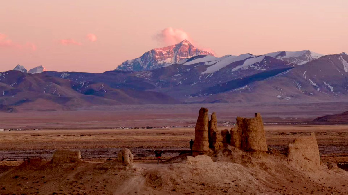 Jocaccia tweet media