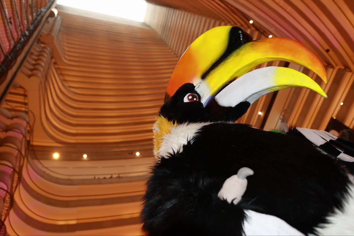 Harry The Hornbill 🔜 FWA tweet media