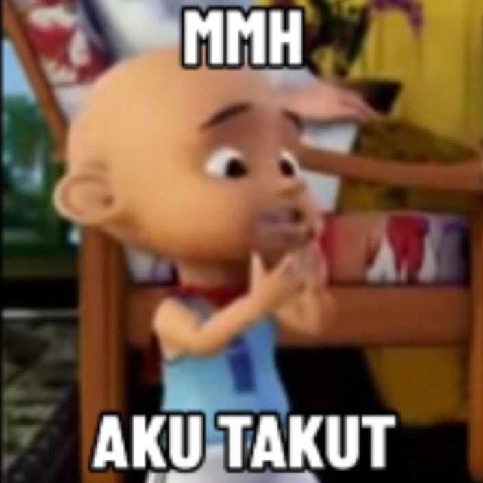 🪻🦭 tweet media