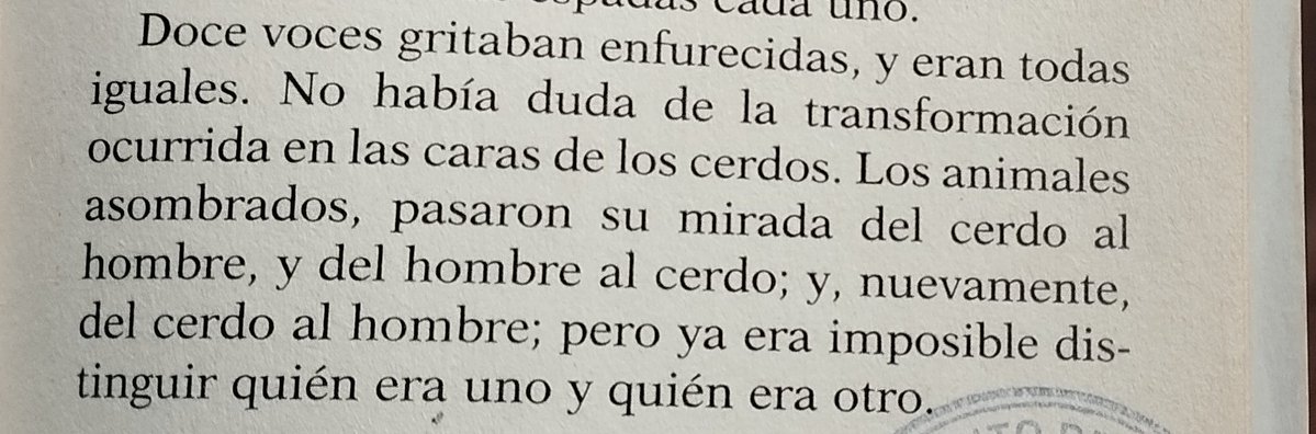 Amin 🇵🇸 tweet media