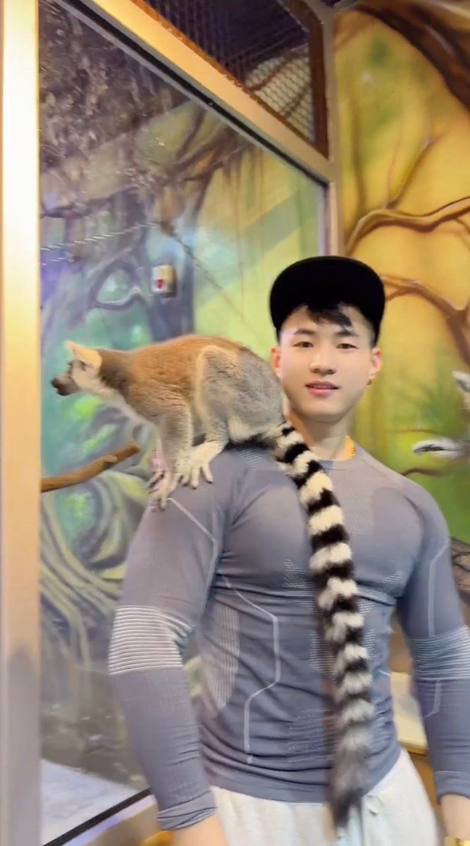 Dahuan—11 tweet media