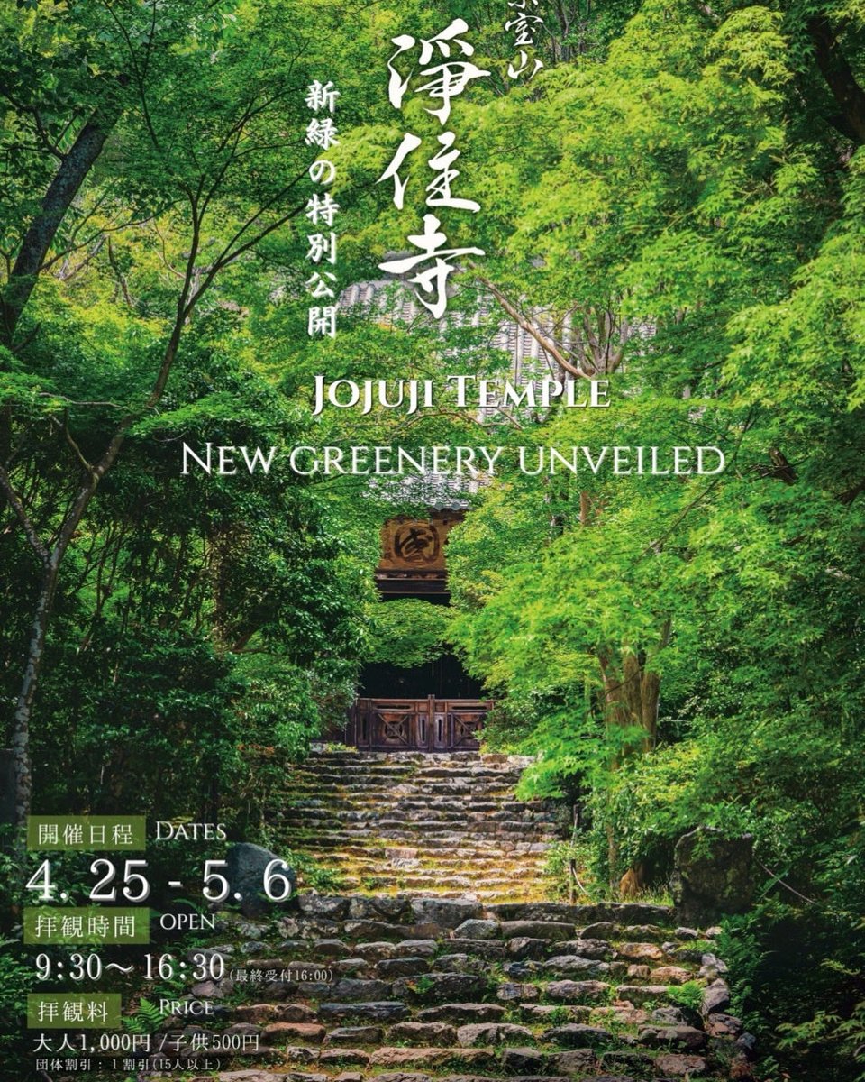 新緑の特別公開　4月25日〜5月6日
日常を離れ、静寂の境内で心洗われる時をお過ごしください☘️
