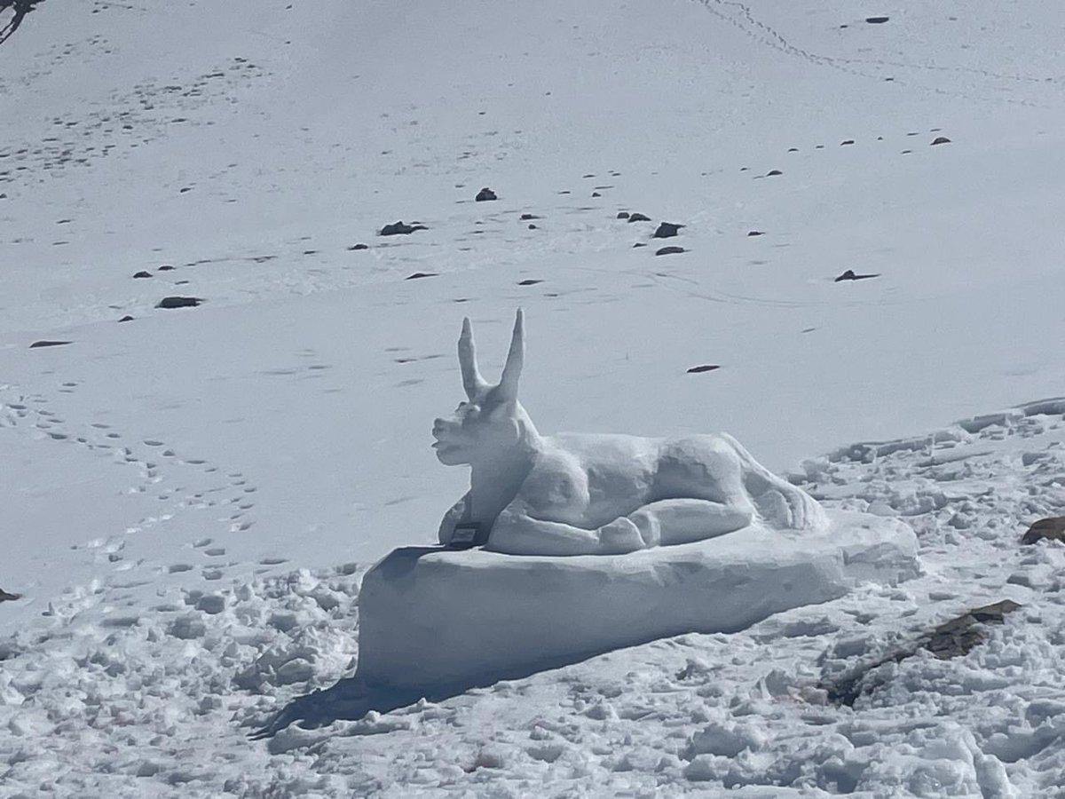 tashizkr's tweet photo. SNOW Sculpture- 2026 Zanskar##ladakh https://t.co/l2oXEFpLZr