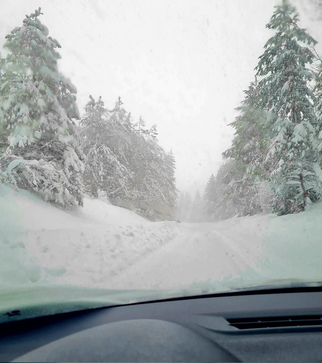 Ramo Bunić tweet media