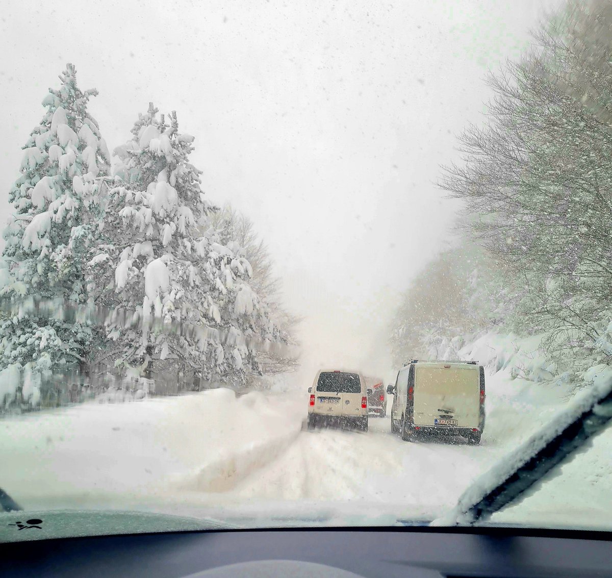 Ramo Bunić tweet media