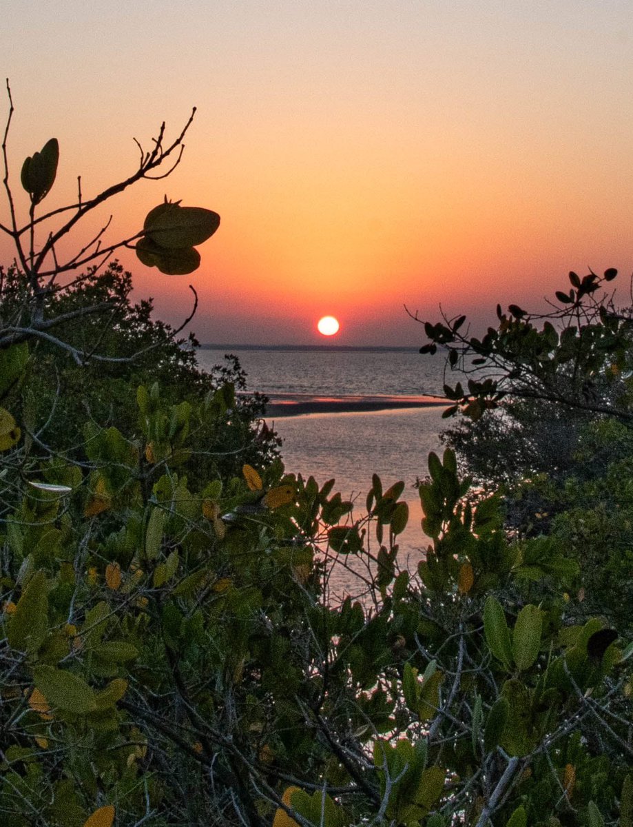 Kristen 🇺🇸 tweet media