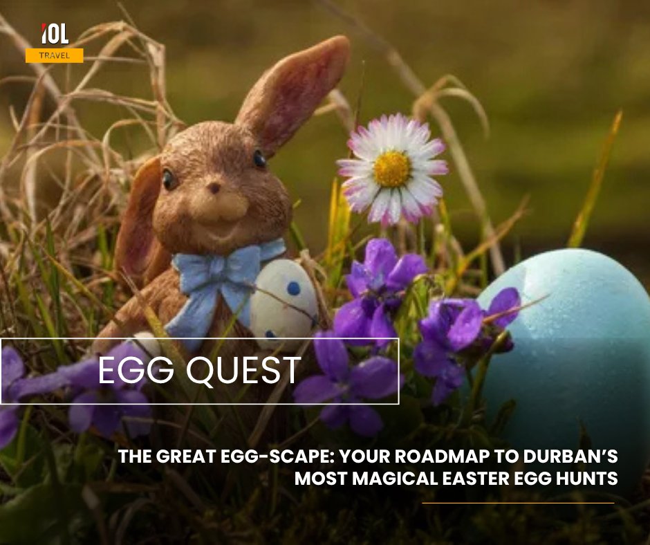 IOLTravel tweet media