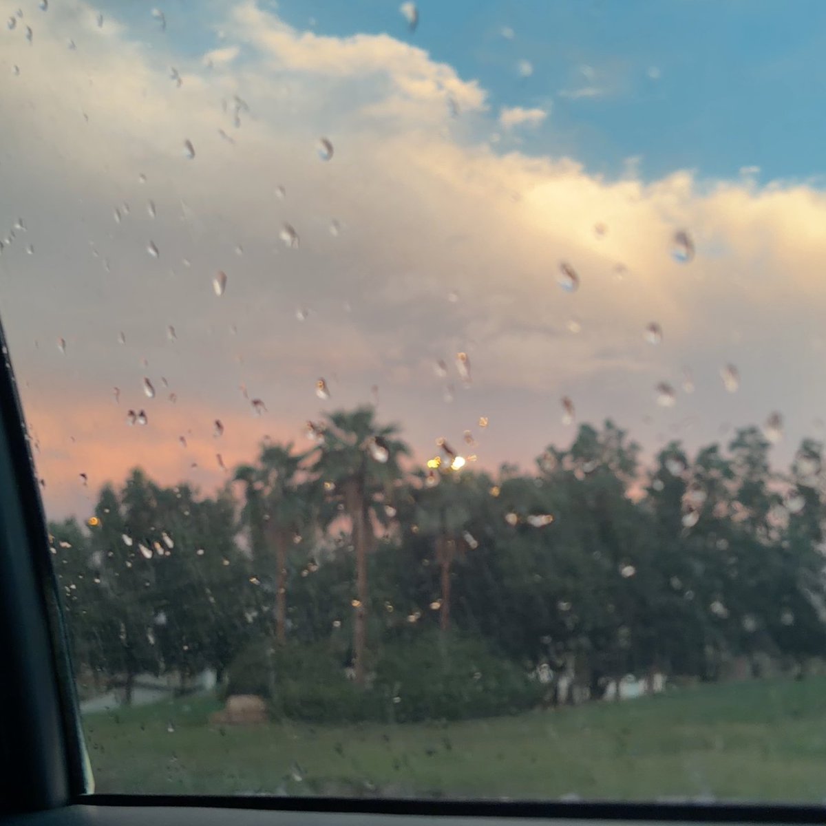 Free Palestine 🇵🇸 (@fithousand) on Twitter photo 