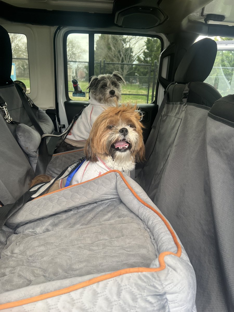 Angelina Couture DC tweet media