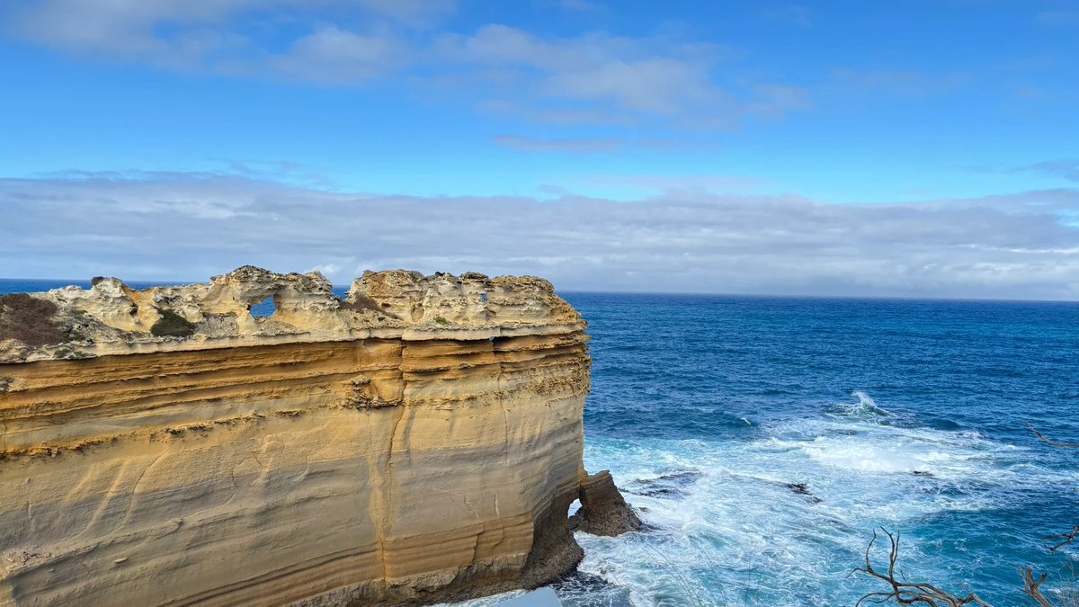 mOhamed abOalata tweet media