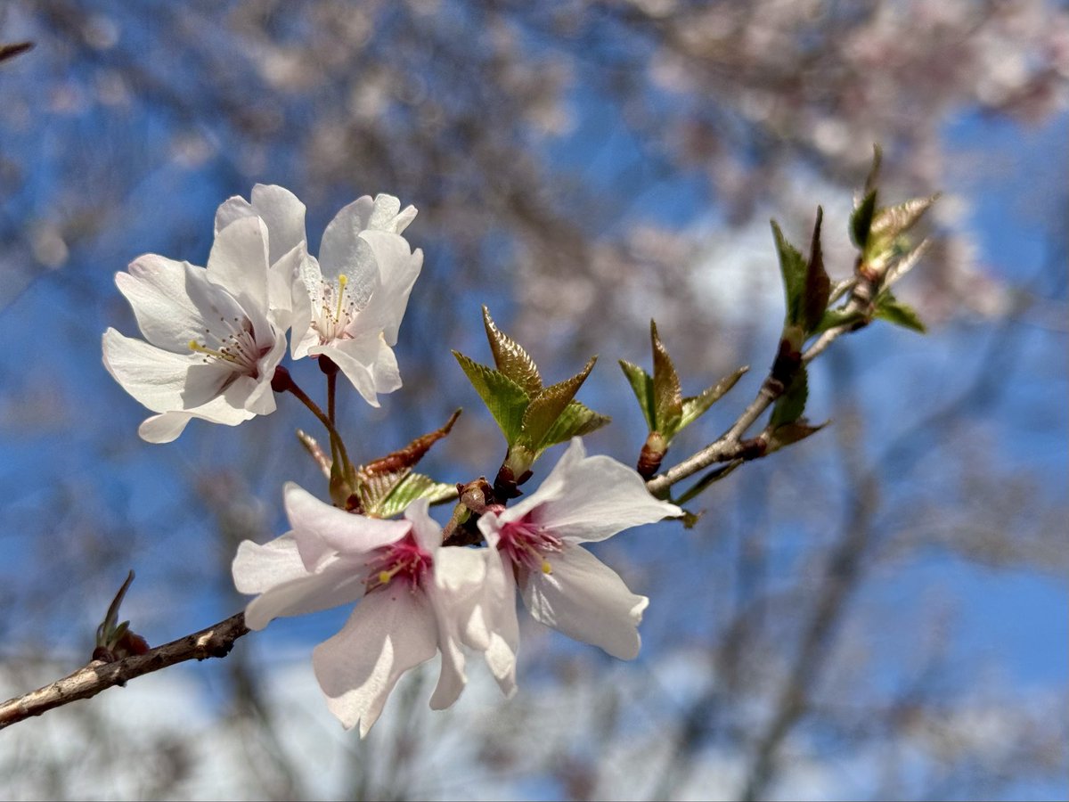 ビックカメラ高崎東口店 tweet media