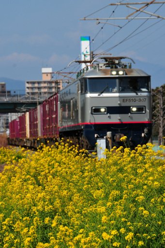 tetsuwotw's tweet photo. 20260312　日豊本線で撮り鉄📷🚃

https://t.co/G12yN7K5cc https://t.co/t6czqOQhJR