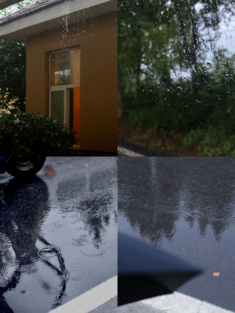 Ruth Wester tweet media