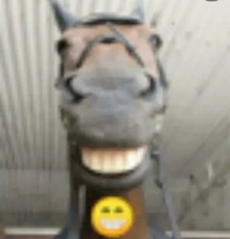 IcyIsTired tweet media