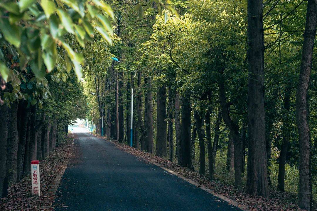 алексей носов tweet media