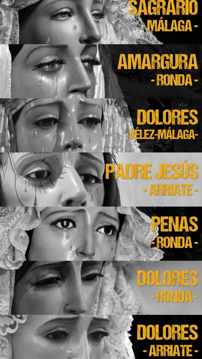 BM Maestro Paco Tenorio tweet media