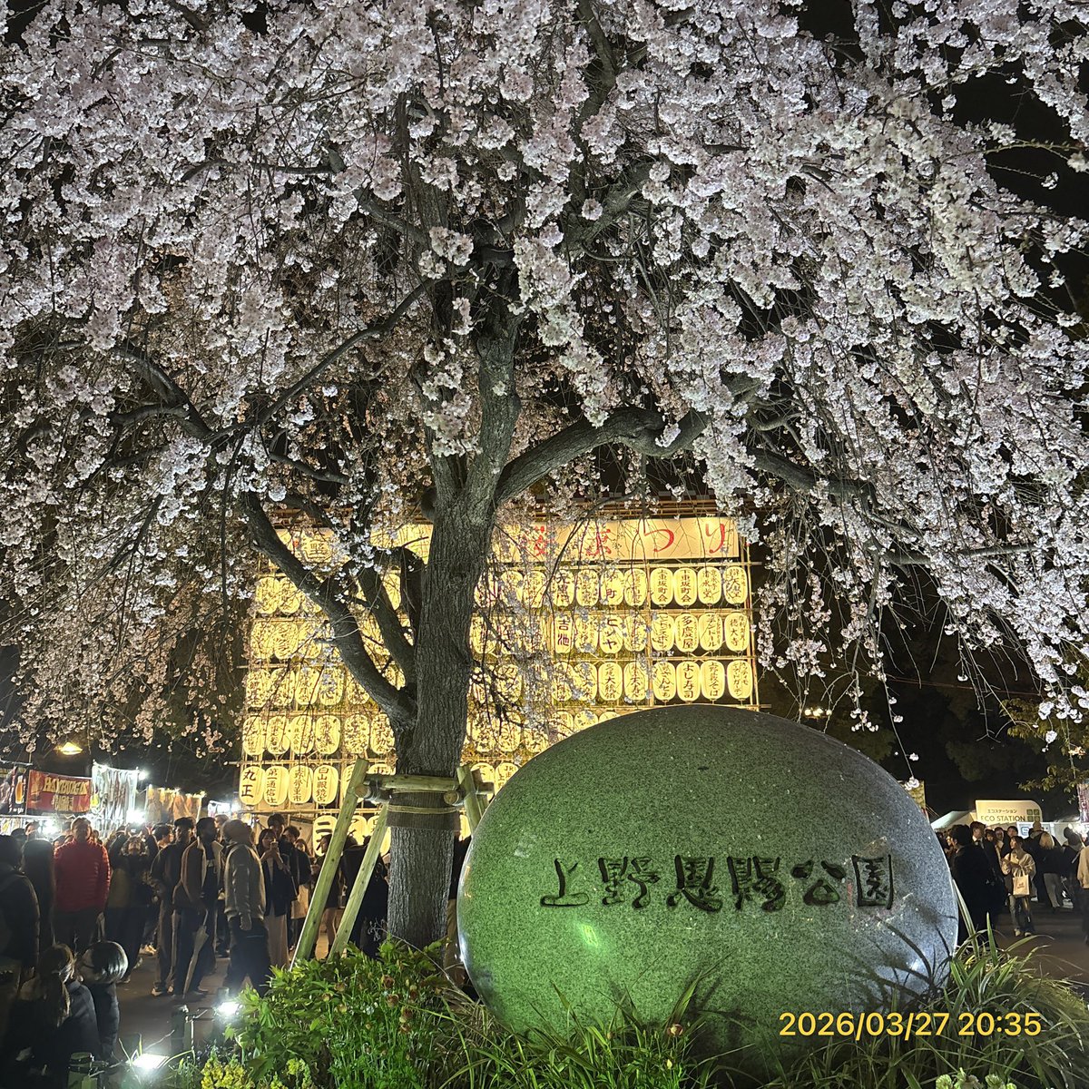 MikittyMimmy's tweet photo. お仕事終わりに上野公園の桜フェスタに行ってきた🌸
鮎の塩焼きが美味しいのなんのって！
桜も綺麗だった～✨️
お散歩がてら上野公園周辺をぶらり👣⸒⸒ https://t.co/EnopPr2M7x