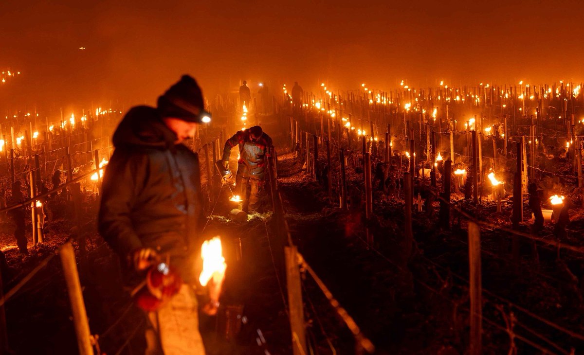 Météo Express tweet media