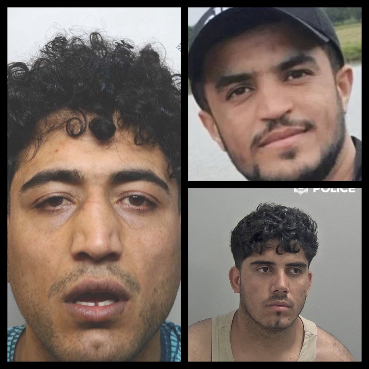 Lee Patriot Hood tweet media