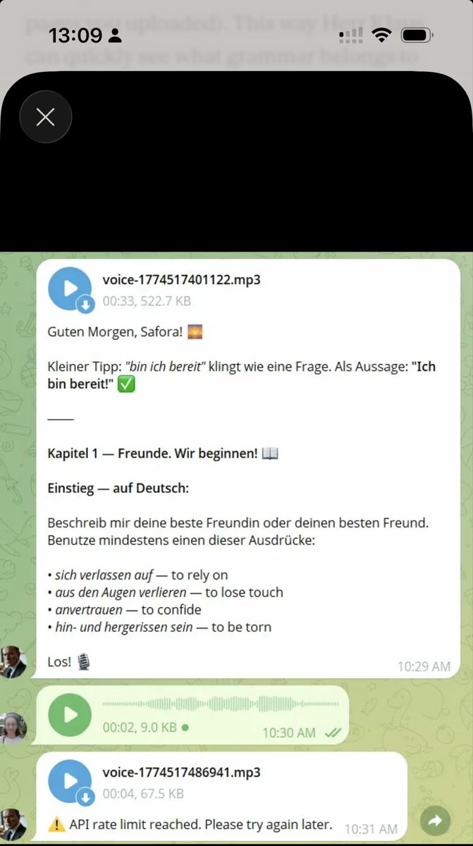 safora jolfaei tweet media