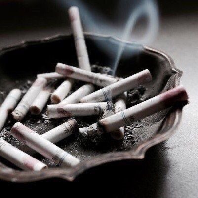 𝑺𝑨𝑭𝑰 tweet media