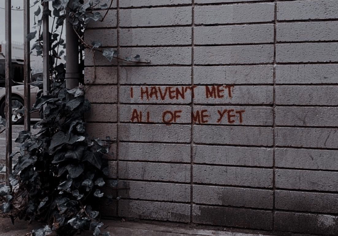 𝑺𝑨𝑭𝑰 tweet media