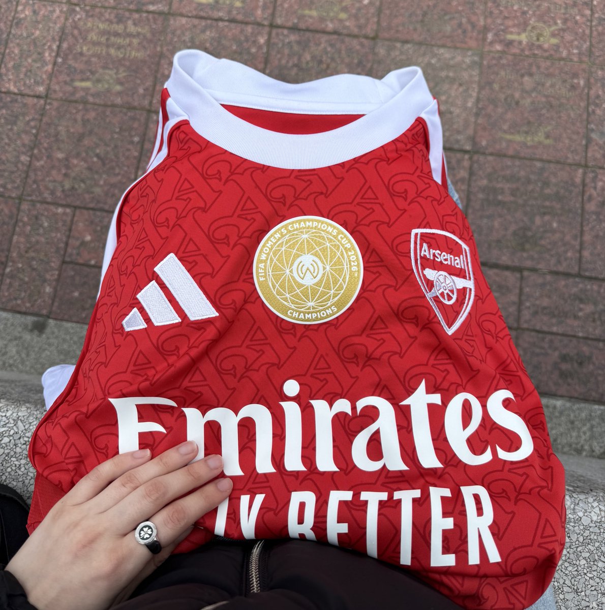 leo ⭒ ⭒ tweet media