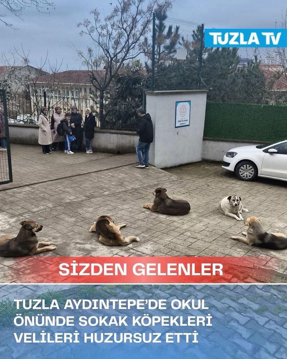 uykusuz adam tweet media