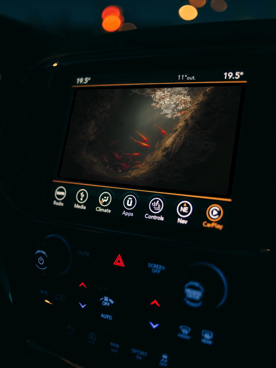 CKAUII VISION tweet media