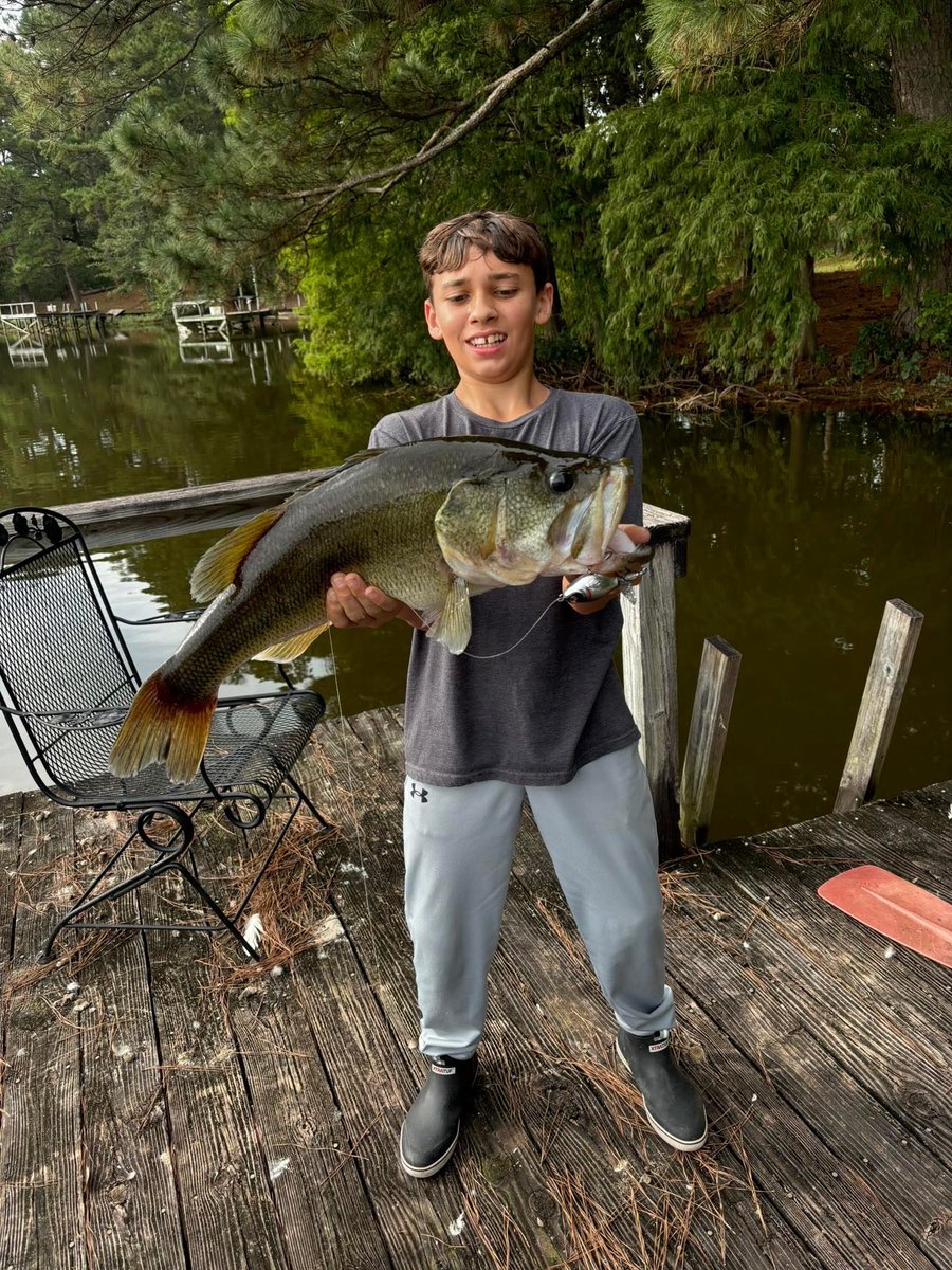 Bass Manager 🎣 tweet media