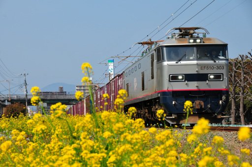tetsuwotw's tweet photo. 20260320　日豊本線で撮り鉄📷🚃

https://t.co/mE9gZGzoVA https://t.co/JMWwP7ZlEt