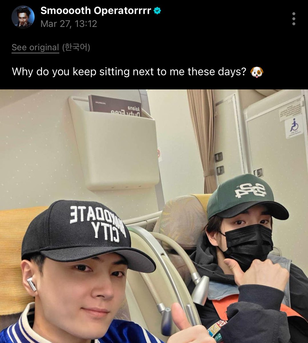 PickleyPoo tweet media